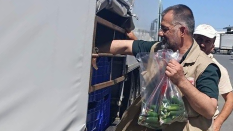 Gazipaşa’da pestisit denetimi