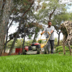 HayatPark'ta yaz düzenlemesi