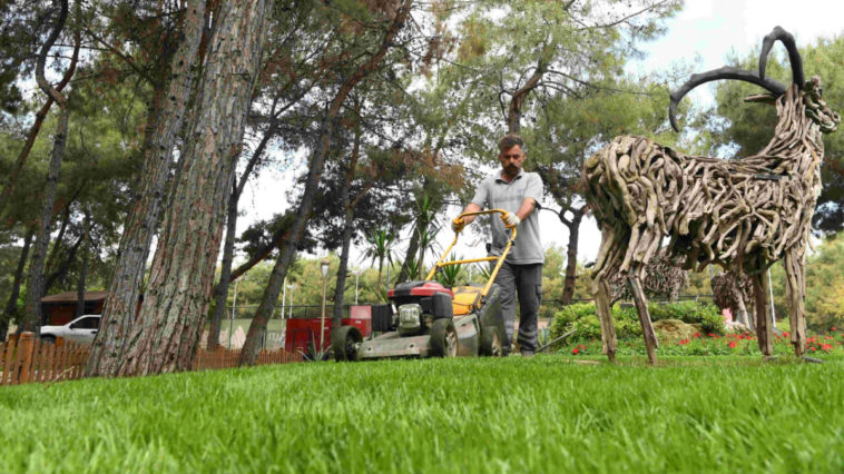 HayatPark'ta yaz düzenlemesi