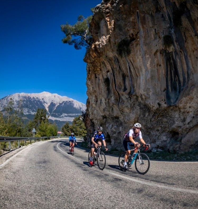 image_750x_661a3b8d85d2a