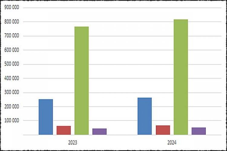 image_750x_6625ee8208d1b