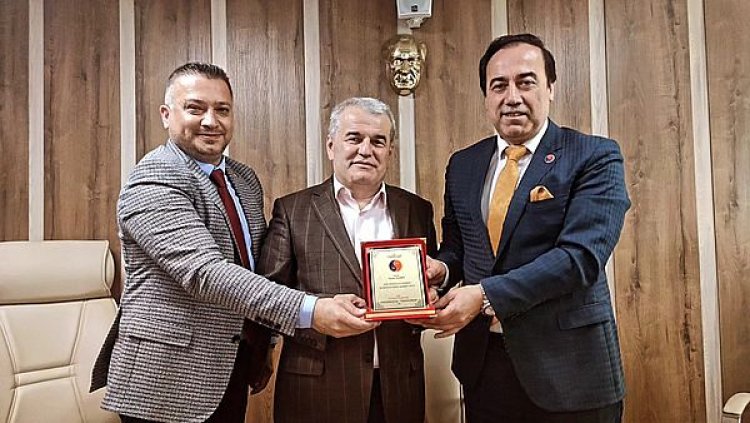 image_750x_6634677e2eab1