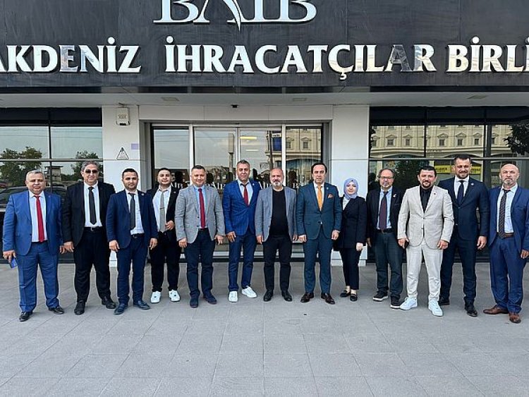 image_750x_6634679fa1460