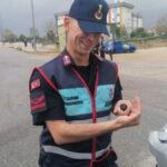 Jandarmanın şefkati ile Kırlangıç hayata döndü