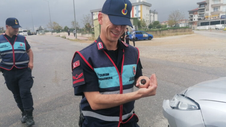 Jandarmanın şefkati ile Kırlangıç hayata döndü