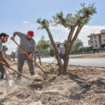 Kepez'de Kerkük Caddesi'nde peyzaj çalışması