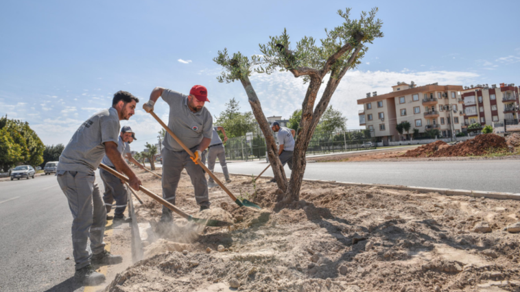 Kepez'de Kerkük Caddesi'nde peyzaj çalışması