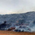 Korkuteli'ndeki yangında 60 dönüm çalılık alan zarar gördü