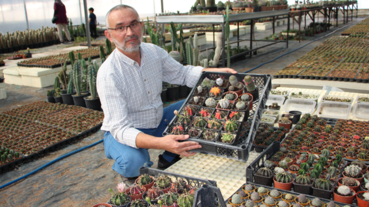 Kumluca'da kaktüs üretimine hız verildi