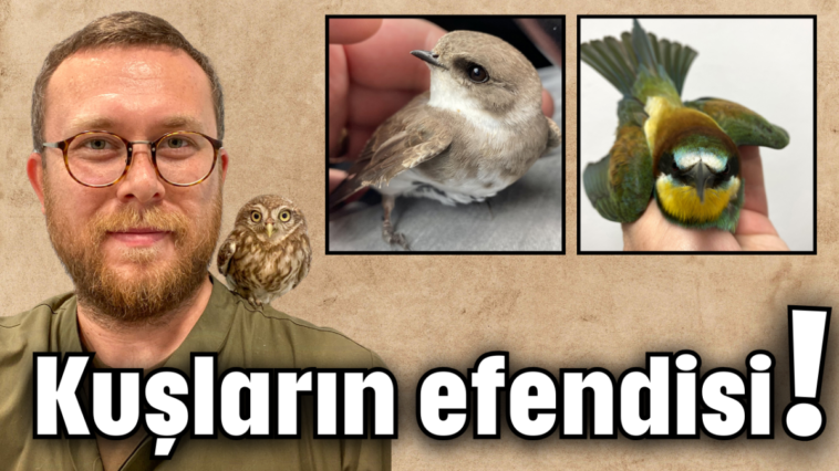 Kuşların efendisi!