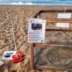 Sorgun-Side sahilinde bir ilk