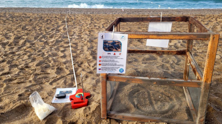 Sorgun-Side sahilinde bir ilk