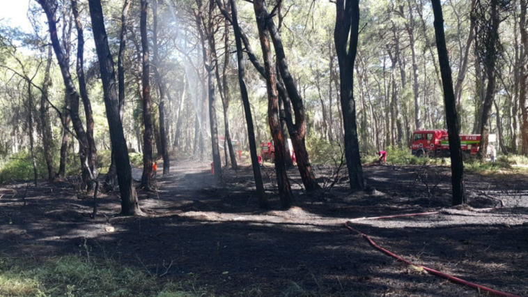 Sorgun'daki orman yangını söndürüldü