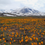 Torosların zirvesinde yeni cazibe merkezi