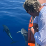 Yunuslar turist teknelerine eşlik etti