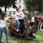 Öğretmenlerin deve sınavı