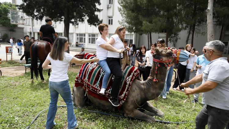 Öğretmenlerin deve sınavı
