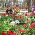 Kepeze sevgi çiçekleri