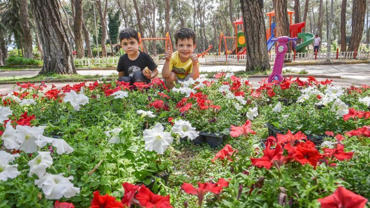 Kepeze sevgi çiçekleri