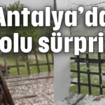 Antalya’da dolu sürprizi