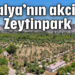 Antalya’nın akciğeri: Zeytinpark