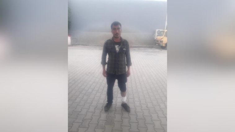 Başıboş sokak köpekleri saldırdı