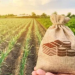 Çiftçi ve üretici kredilerinde limitler arttırıldı