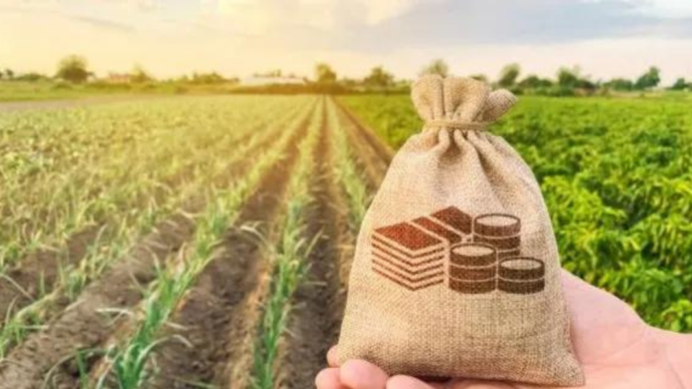 Çiftçi ve üretici kredilerinde limitler arttırıldı