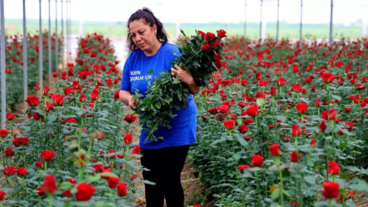 Dalında 3 lira, internette 50 lira