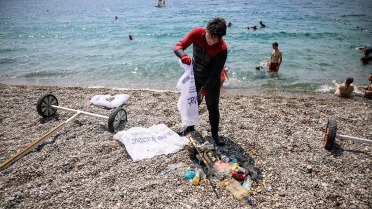 Deniz dibinde plastik temizliği