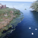 Dileklerini denize attılar