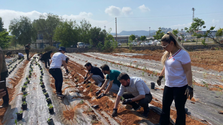 Gazipaşa'da tıbbi ve aromatik bitki bahçesi kuruldu