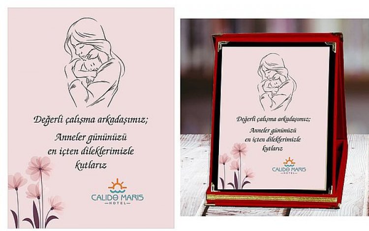 image_750x_6641a12a776cd