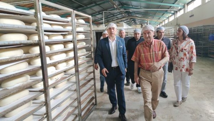 image_750x_665408d685563