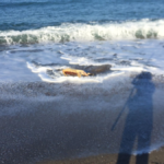 Ters dönen caretta carettayı vatandaşlar kurtardılar