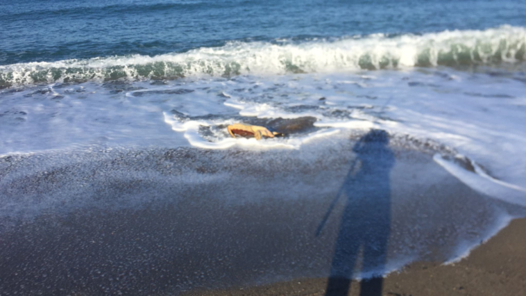 Ters dönen caretta carettayı vatandaşlar kurtardılar