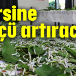 Tersine göçü artıracak