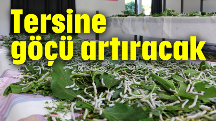 Tersine göçü artıracak