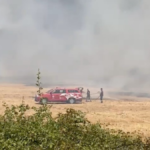 Aksu'da sazlık alanda yangın çıktı