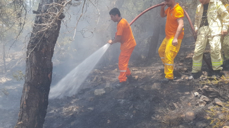 Alanya'da çıkan orman yangını büyümeden söndürüldü