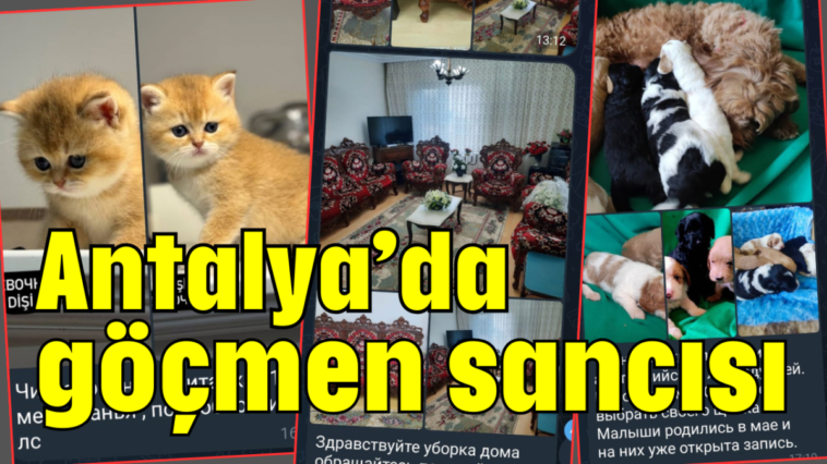 Antalya'da göçmen sancısı