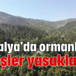 Antalya'da ormanlara girişler yasaklandı