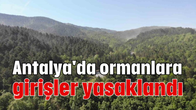 Antalya'da ormanlara girişler yasaklandı