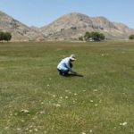 Gazipaşa yaylalarında çekirge mücadelesi yapıldı