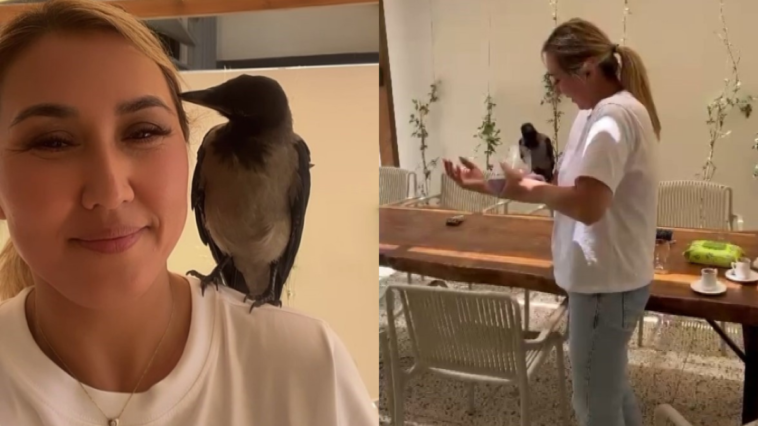 İç ısıtan görüntü