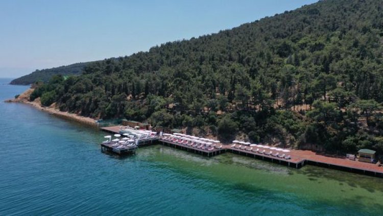 image_750x_665d516710100-1