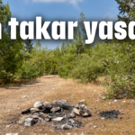 Kim takar yasağı!