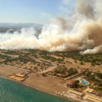 Kundu'daki yangında 30 hektarlık ormanlık alan zarar gördü