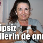 Sahipsiz kedilerin de annesi