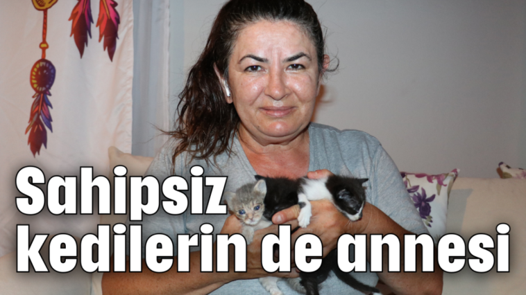 Sahipsiz kedilerin de annesi